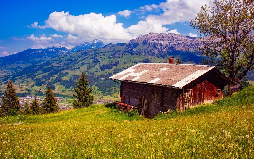 swiss-003 (1).jpg